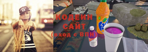 прущие грибы Бронницы
