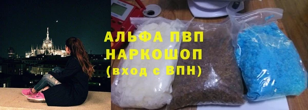прущие грибы Бронницы