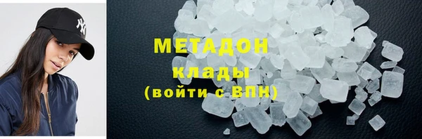 прущие грибы Бронницы