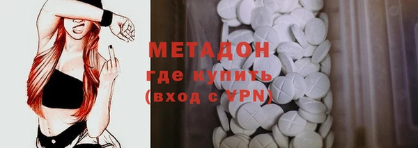 прущие грибы Бронницы