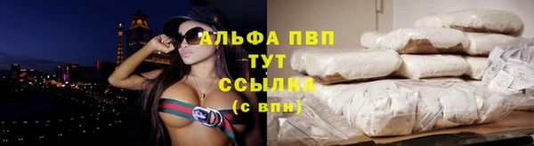 прущие грибы Бронницы