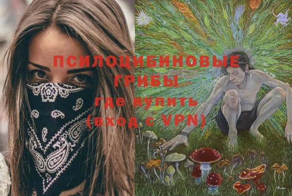 jwh Бородино