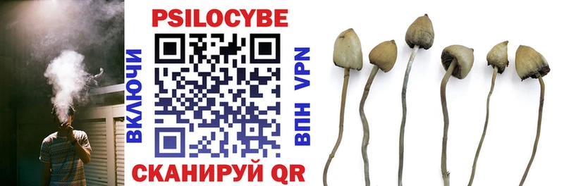 наркошоп  блэк спрут как войти  Псилоцибиновые грибы Psilocybe  Карачев 